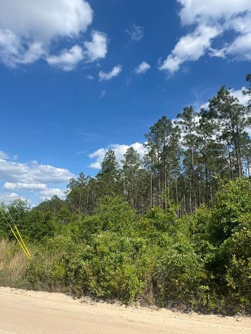 Address Not Disclosed, Pearson, GA 31642