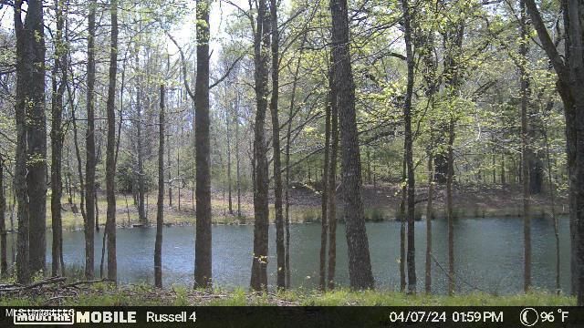 1 Branan Rd, Coldwater, MS 38618