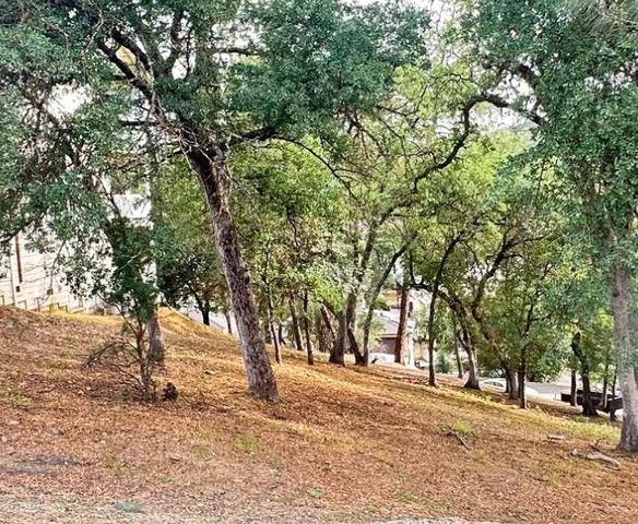 423 Winchester Way, Copperopolis, CA 95228