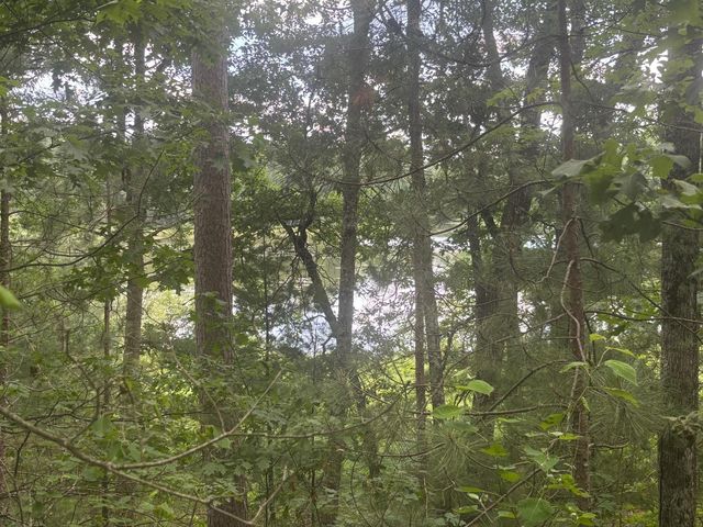 Bennett Rd, Amberg, WI 54102