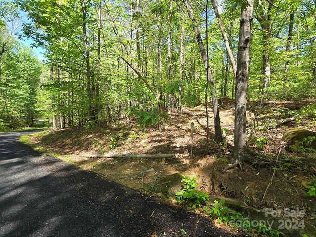 Red Wing Rd #145 & 147, Lake Lure, NC 28746