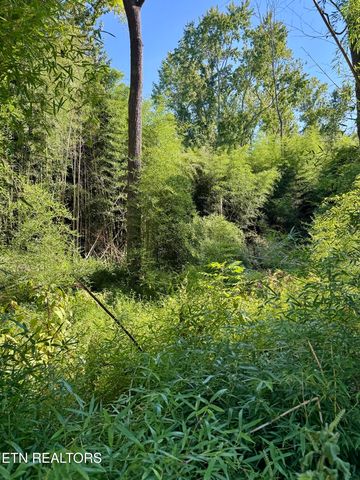 S  Lenoir Ave, Rockwood, TN 37854