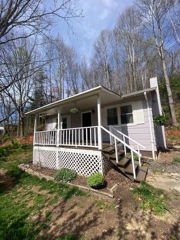 164 Hayes Cove Rd, Leicester, NC 28748