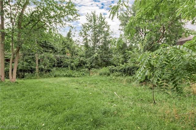871 E  131st St, Cleveland, OH 44108
