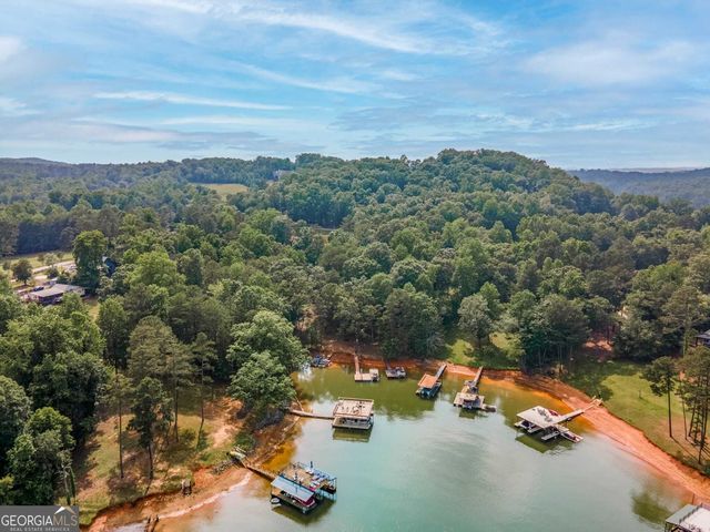 19 Lakeview Point, Dawsonville, GA 30534