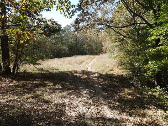 2 Copper Spring Rd #2, Springville, TN 38256