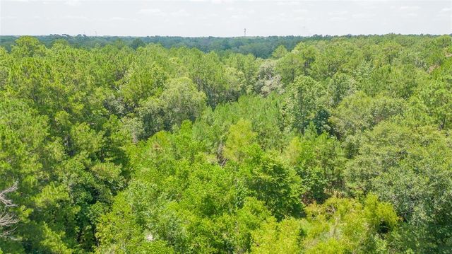18600 Woodland Forest Dr, Conroe, TX 77306