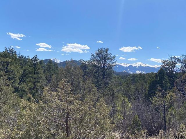 Township Road 104 Path #F, Cotopaxi, CO 81223