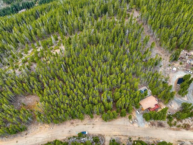 935 Silver Creek Rd, Idaho Springs, CO 80452