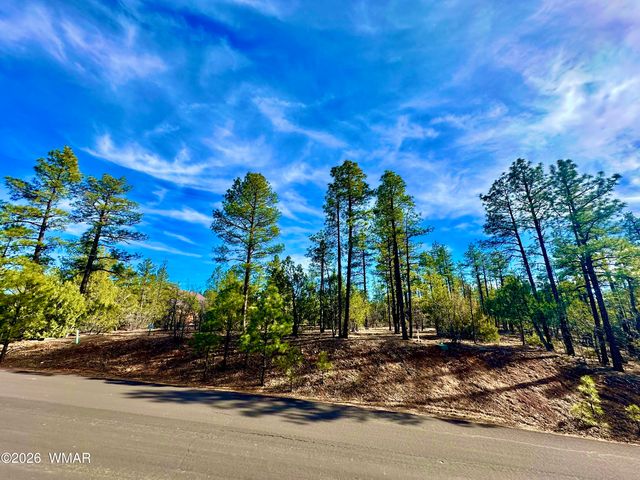321 W  Aspen Trl, Show Low, AZ 85901