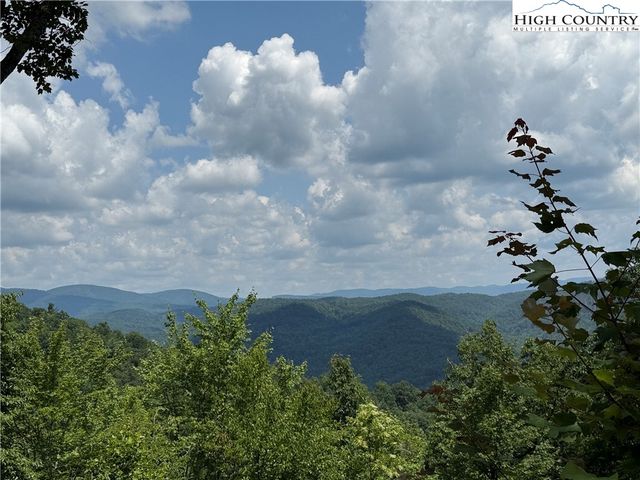 337 Lucas Path Drive, Purlear, NC 28665