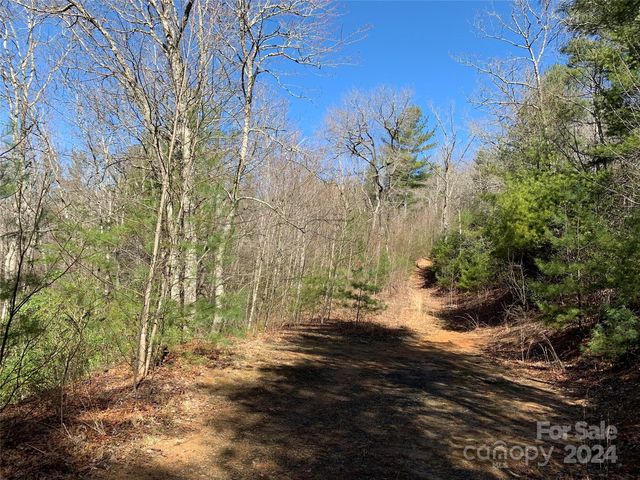 Elkins Rd #18-19, Bakersville, NC 28705