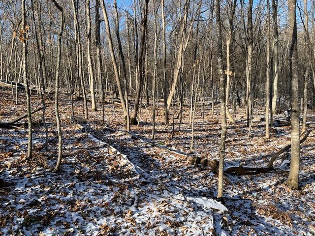 Lot 6 186th Ave, Balsam Lake, WI 54810