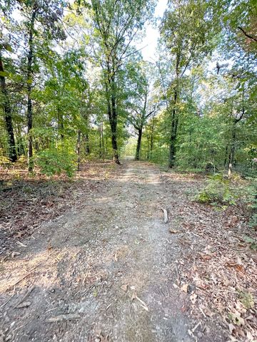 000 State Hwy C UNIT Tract 6, Purdy, MO 65734
