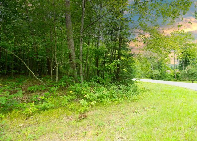Lot 76 Groh Ln, Mountain, WI 54149