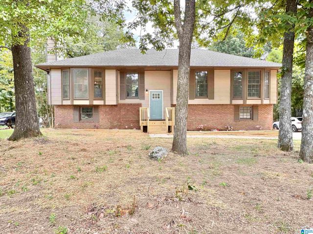6043 Red Hollow Rd, Birmingham, AL 35215