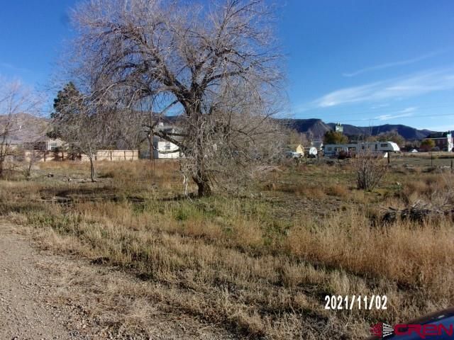 117 W  Menefee St, Mancos, CO 81328