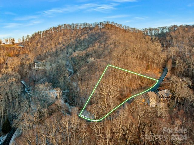 17 Old Growth Forest Rd, Burnsville, NC 28714