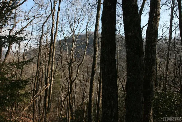 Township Road D, Cashiers, NC 28717