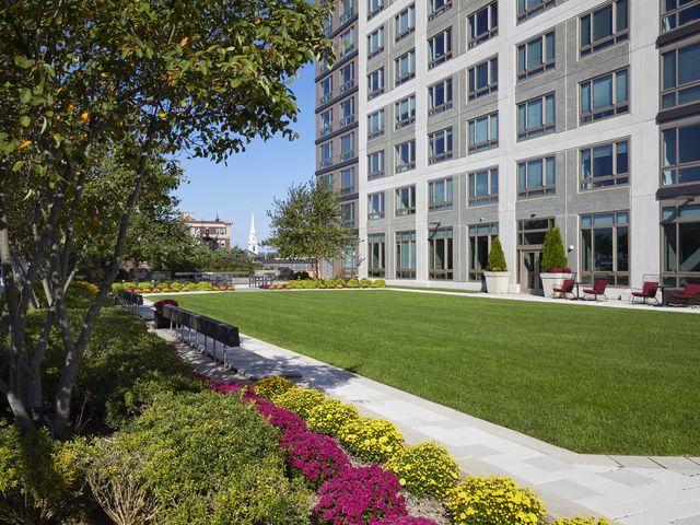 360 State St #806, New Haven, CT 06510