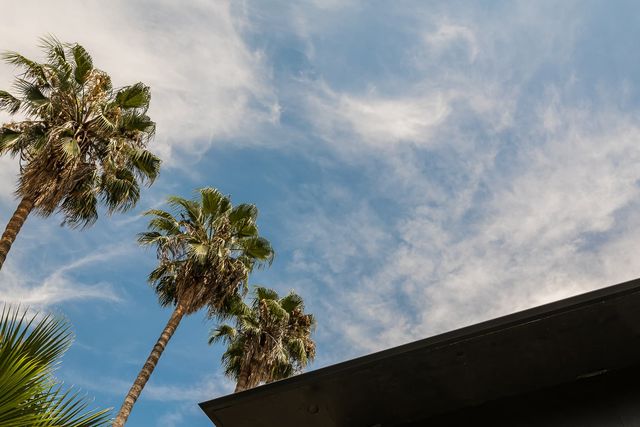 262 N  Los Robles Ave #310, Pasadena, CA 91101