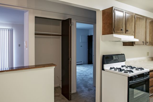 16703 Lakewood Dr #2, Tinley Park, IL 60477