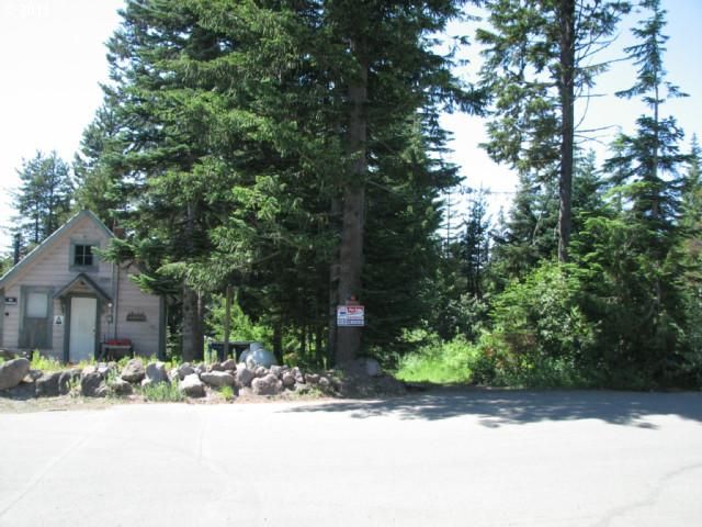 30559 E  Yule St, Government Camp, OR 97028