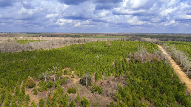 Highland Rd, Slocomb, AL 36375