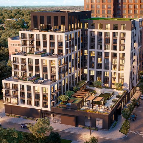 794 Plan in The Oak, Falls Church, VA 22043