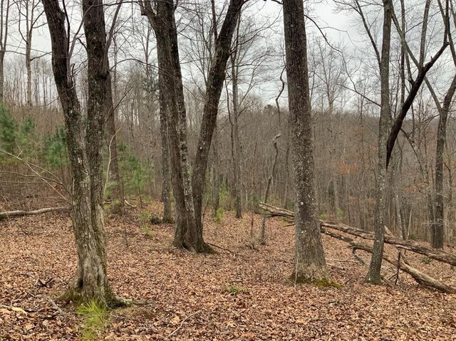 Lot/Land For Sale in 30512 - Blairsville, GA - 333 Listings