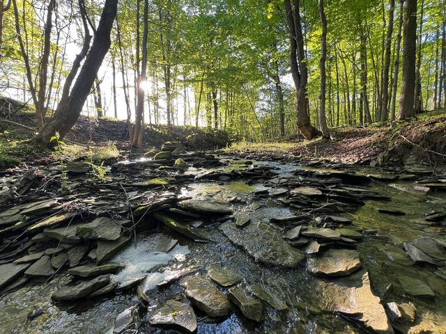 Smith Rd, North East, PA 16428