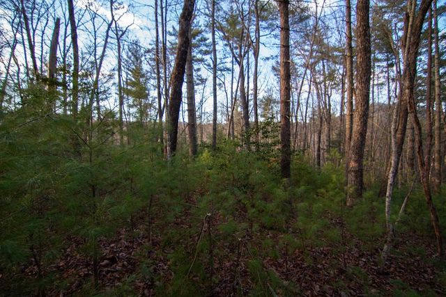 3 Rock Crk, Cherry Log, GA 30522