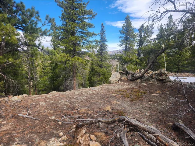 Vacant Land on Fools Gold Road, Idaho Springs, CO 80452