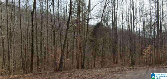 Heritage Creek Dr #15, Springville, AL 35146