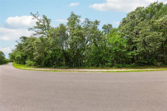 33340 Tombstone St #1, Webster, FL 33597