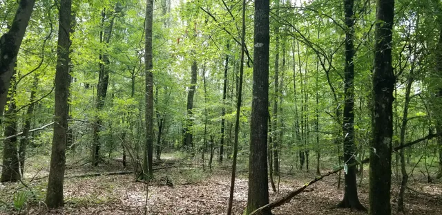 974 Merrifield Dr, Selma, AL 36703