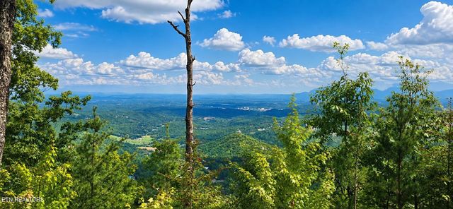 130 Settlers View Ln #130E-R, Sevierville, TN 37862