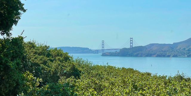310 Belvedere Ave #A, Belvedere Tiburon, CA 94920