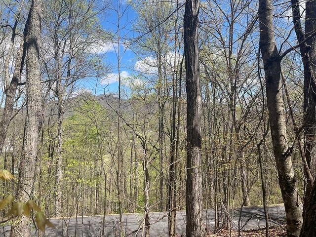 Lot-31A Mountain Harbour Dr, Hayesville, NC 28904