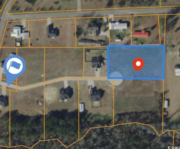 217 Shady Pines Ct., Conway, SC 29527