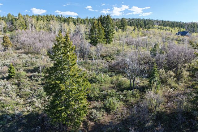 17104 S  Alta Dr E, Spanish Fork, UT 84660