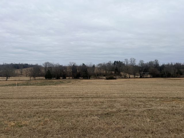 20 Clay County Hwy, Moss, TN 38575