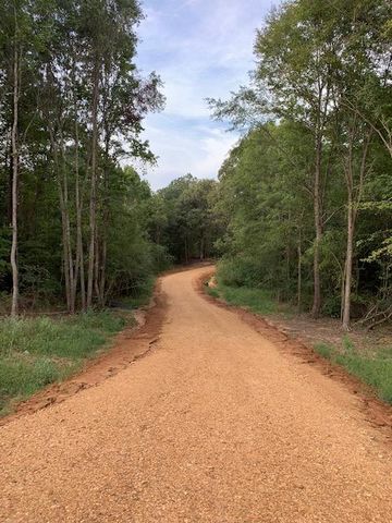 Lot 1 Market St, Water Valley, MS 38965