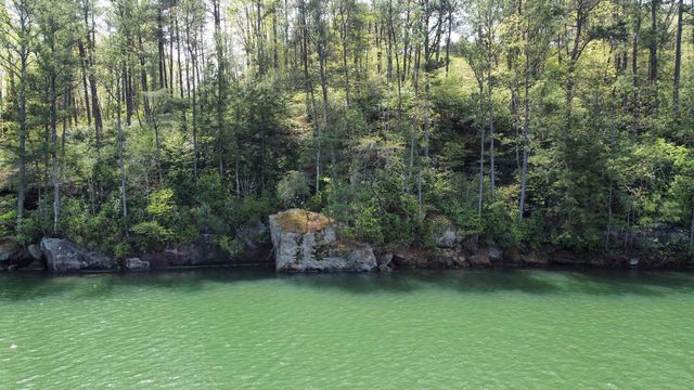 Lot 59 Sipsey Pike, Double Springs, AL 35553