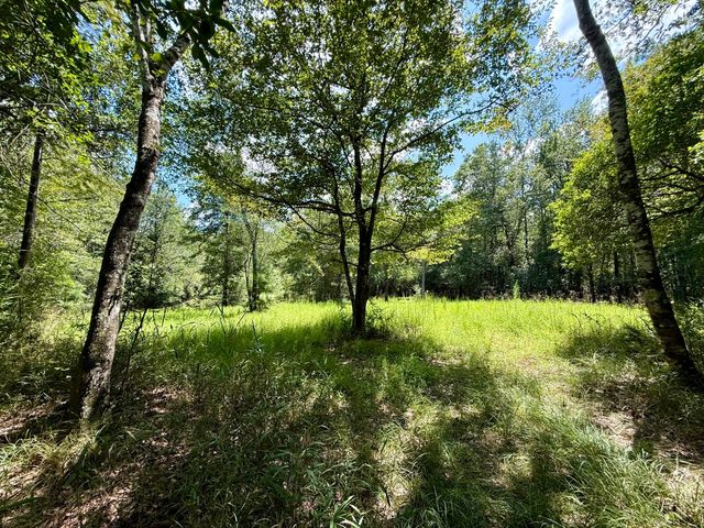 Ernest Everett Rd, Vinegar Bend, AL 36584