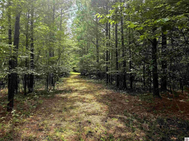 Vicksburg Rd, Tiline, KY 42083