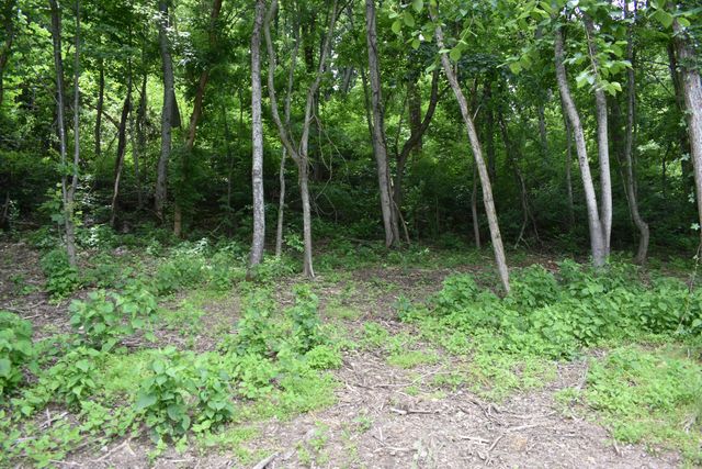 Turkey Creek Hwy #3, Carthage, TN 37030