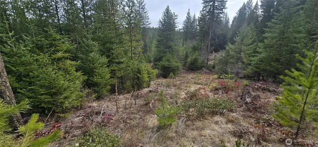 4910 Getna Way Road, Springdale, WA 99173