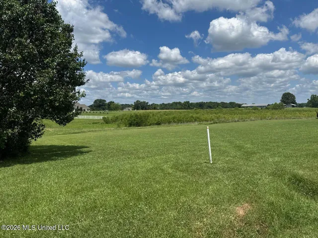 66 Lovorn Ct, Flora, MS 39071