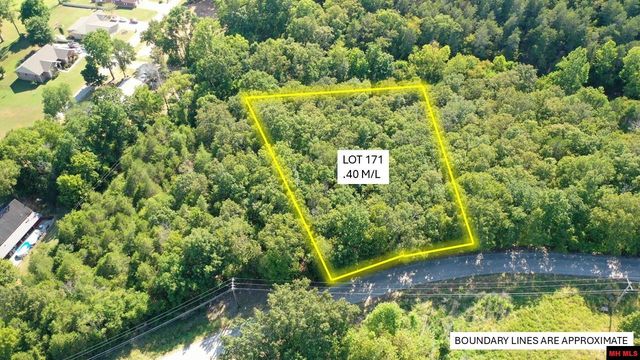 171 Rivercliff Dr, Bull Shoals, AR 72619